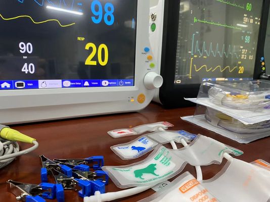 1024X768 LCD Veterinär Multiparameter Monitor, Vital Monitoring Geräte mit 15 Zoll